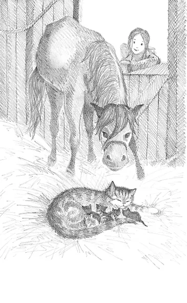 Котёнок Пушинка, или Рождественское чудо: повесть - фото 7