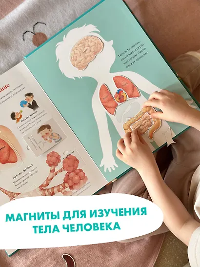 Все секреты человека - фото 8