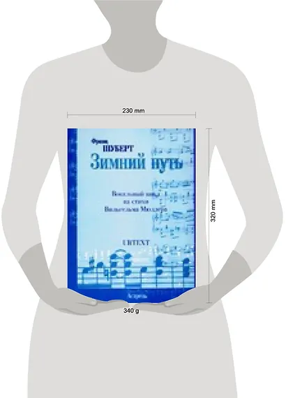 Ноты(люкс)Шуберт Зимний путь - фото 2