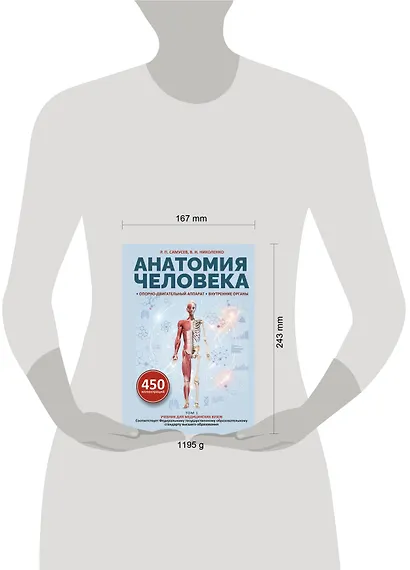 Анатомия человека. Опорно-двигательный аппарат, внутренние органы - фото 4