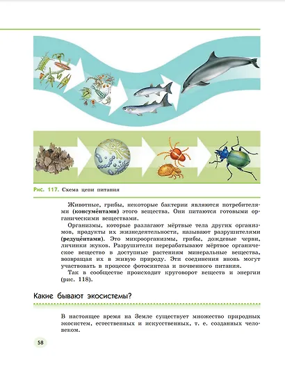 Естествознание. 5 класс. Учебник. В двух частях. Часть 2 - фото 4