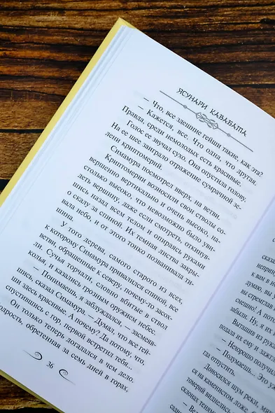 Снежная страна - фото 9