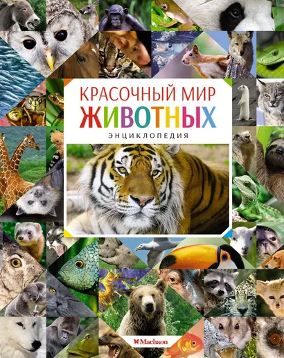 Красочный мир животных - фото 1