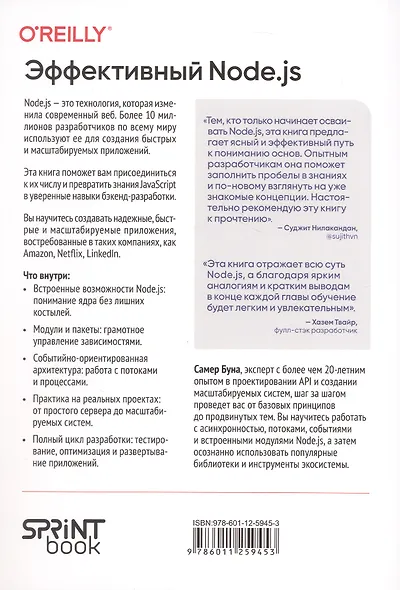 Эффективный Node.js: От базовых навыков к профессиональной разработке - фото 2
