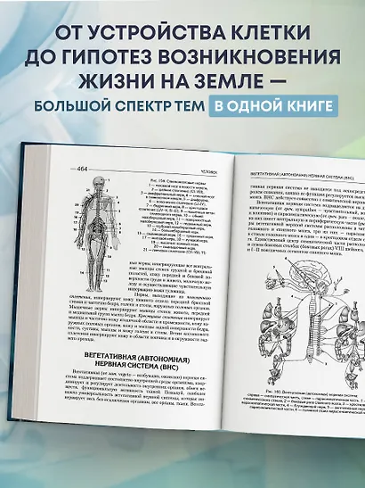 Биология для абитуриентов. Полный курс для ОГЭ, ЕГЭ и олимпиад школьного и городского уровней - фото 5