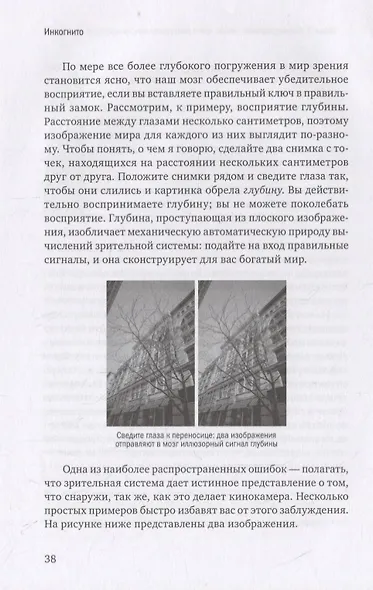 Инкогнито. Тайная жизнь мозга - фото 6