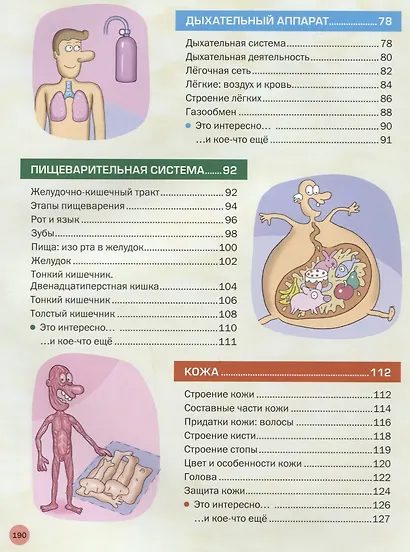 Атлас анатомии для детей и взрослых - фото 4