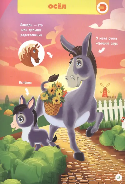 Моя первая энциклопедия в дополненной реальности. Домашние животные - фото 6