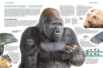 Тайны животных. Большая иллюстрированная энциклопедия - фото 10