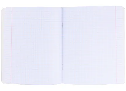 Тетрадь в клетку Знаковые сувениры, "Дождь в Санкт-Петербурге", 48 листов - фото 2