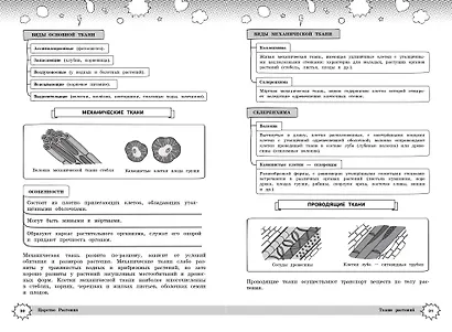 Биология - фото 7