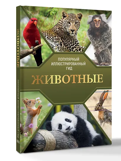 Животные. Популярный иллюстрированный гид - фото 3