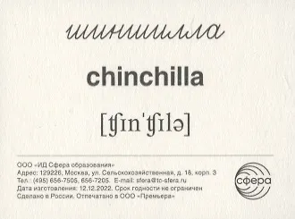 Домашние питомцы. 16 раздаточных карточек со словами на русском и английском языках на обороте - фото 5