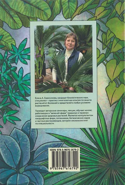 Секреты «домашних» растений: мифы и реальность - фото 2