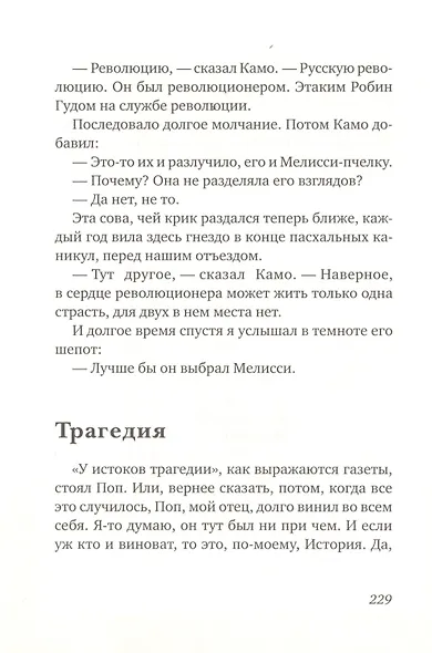 Приключения Камо - фото 8