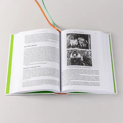 Биология добра и зла. Как наука объясняет наши поступки - фото 13