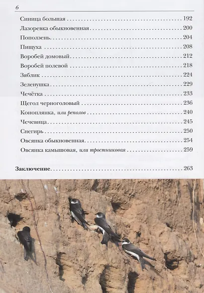 Жизнь и поведение птиц - фото 4