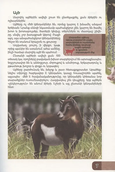 В мире знаний. Домашние животные (на армянском языке) - фото 4