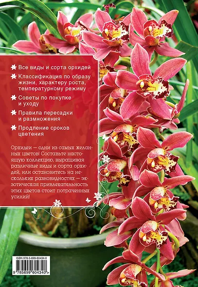 Самые красивые орхидеи (Все о вашем саде) - фото 2