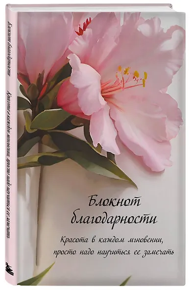 Книга для записей А5 64л "Блокнот благодарности. Красота в каждом мгновении, просто надо научиться ее замечать" - фото 2