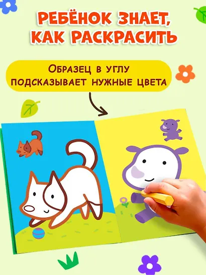 Раскраска с цветным контуром (Зебра) - фото 6