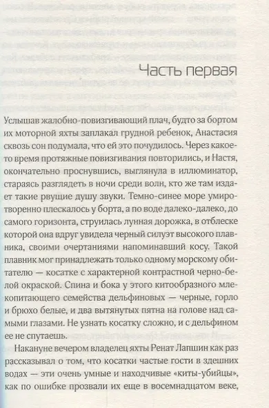 Тайна черных дайверов - фото 2