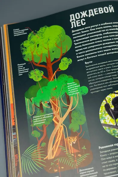 Britannica. Детская энциклопедия - фото 6