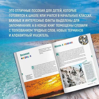 Тайны морей и океанов. Большая иллюстрированная энциклопедия - фото 9