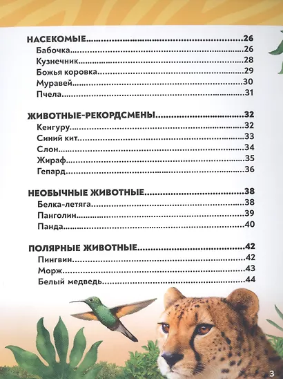 В мире животных. Фотоэнциклопедия для детей - фото 7