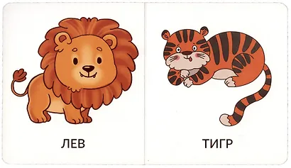 Книга Мои первые слова. Дикие животные. 1-2 года - фото 2