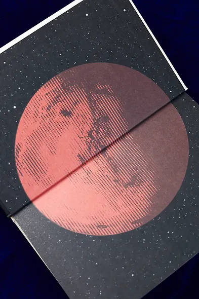 Марс Экспресс. Тэм - фото 10