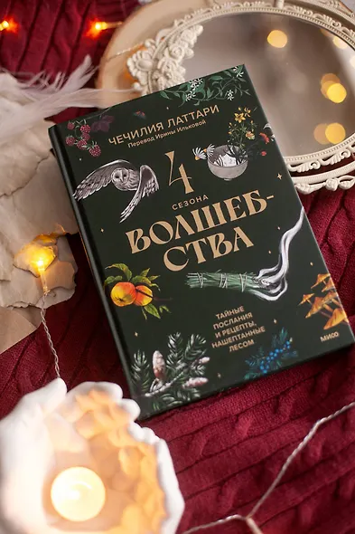 4 сезона волшебства. Тайные послания и рецепты, нашептанные лесом - фото 7