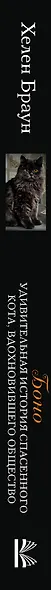 Боно. Удивительная история спасенного кота, вдохновившего общество - фото 4