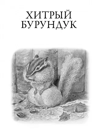 Рассказы о природе - фото 3