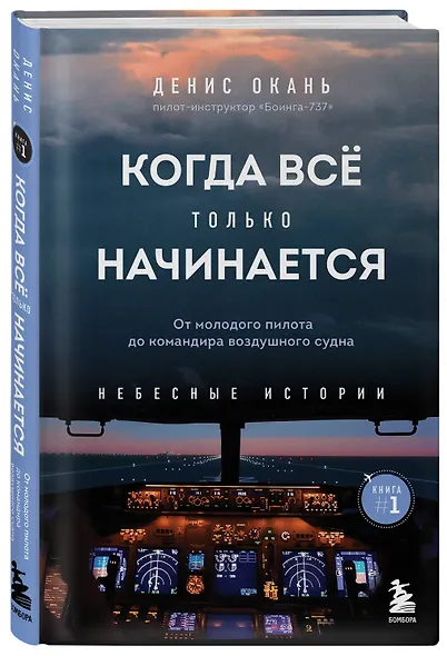 Когда все только начинается. Книга 1. От молодого пилота до командира воздушного судна - фото 3