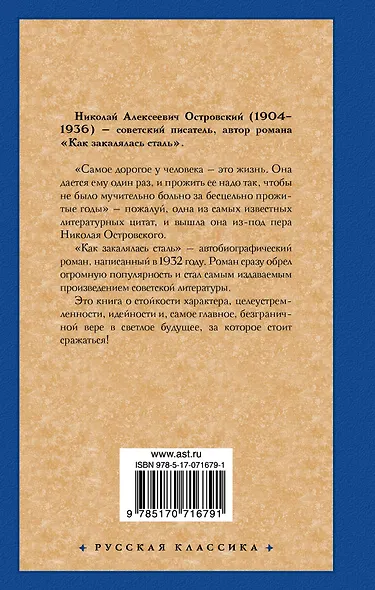 Как закалялась сталь - фото 2