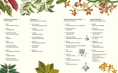 Выдающиеся растения, которые изменили нашу жизнь - фото 5