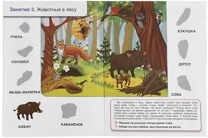 Кто, где живет. Школа Жуковой - фото 2