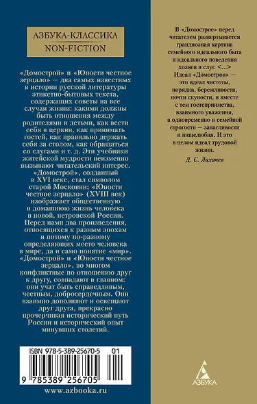 Домострой. Юности честное зерцало - фото 2