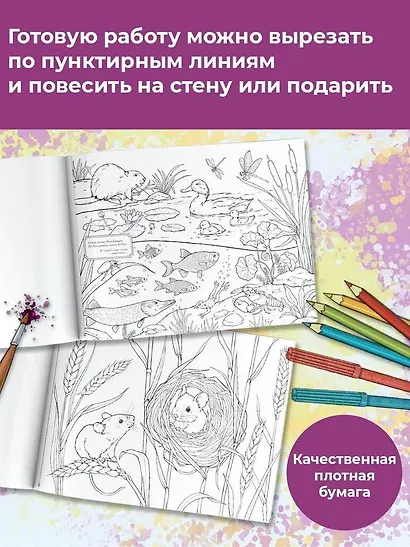 Моя любимая природа - фото 4