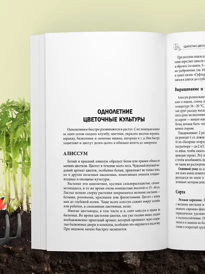 Дачная библия садовода и огородника (новое оформление) - фото 10