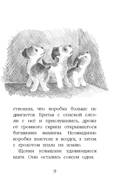 Щенок Крошка, или Друзья навек : повесть - фото 12