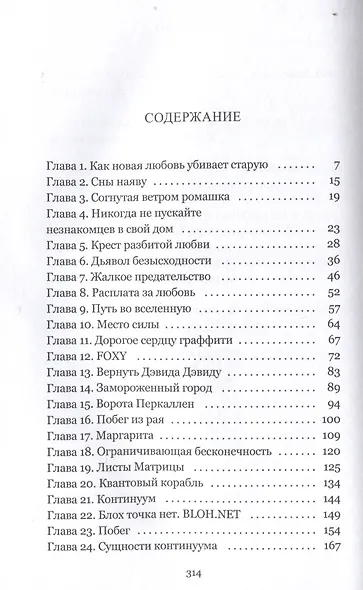 David&Foxy. Сказка о возвращении души: роман - фото 3