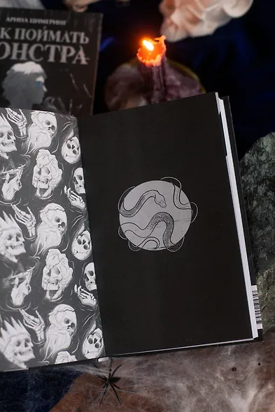 Как поймать монстра. Круг третий. Книга 1 - фото 11