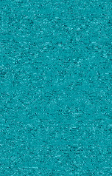 Русская канарейка. Блудный сын: роман - фото 2