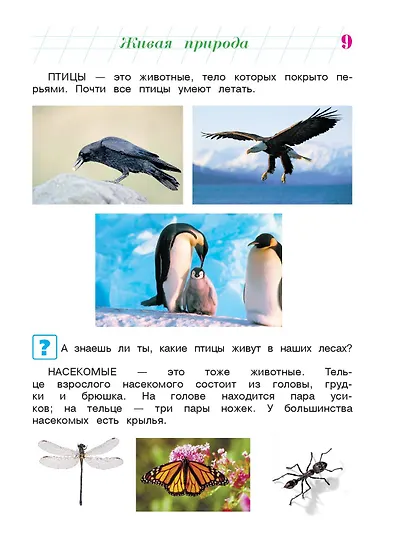 Изучаю мир вокруг: для детей 6-7 лет. Ч. 2 - фото 12