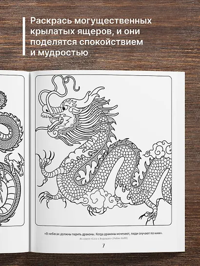 Сказочные драконы. Рисунки для медитаций - фото 5