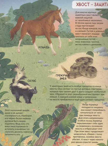 Энциклопедия с окошками (ЦК) Хвост не прост - фото 5