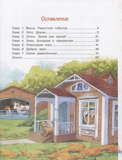 Самое обычное чудо - фото 2