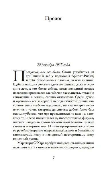 Дарующий звезды - фото 9